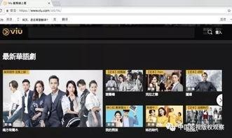 国产成欧美在线视频,揭秘中国在线视频平台的欧美风潮